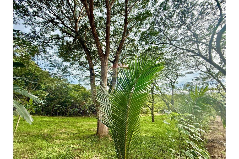 Commercial - Land - Jaco - Jaco, Puntarenas- Garabito, Costa Rica - Caribbean & Central Ameri - 6 - 90168015-205