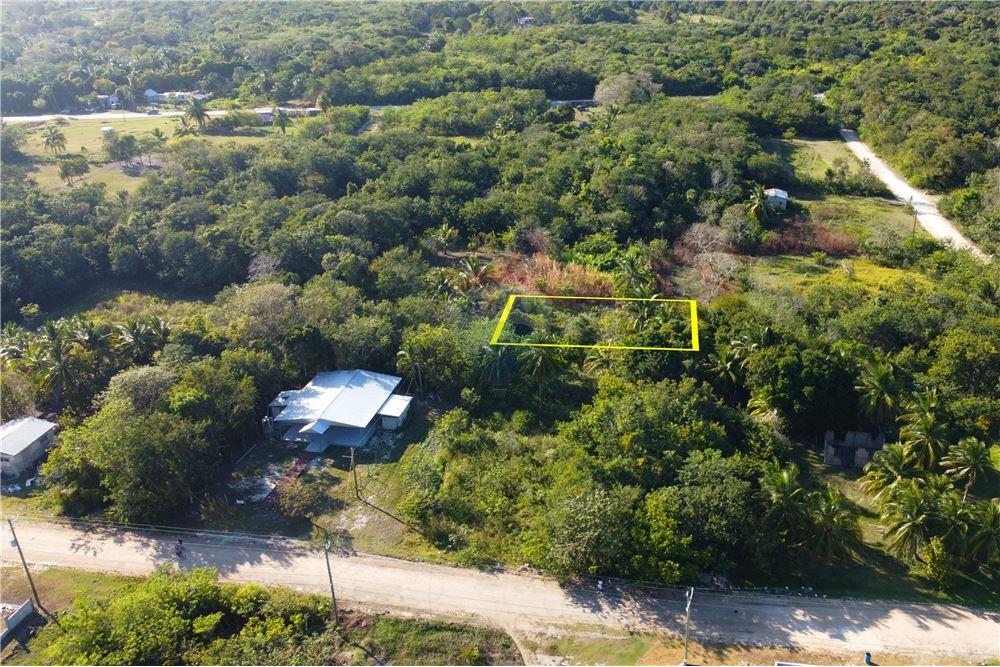 Comercial - Terrenos - Corozal Town, Corozal District, Belize - Caribbean & Central Ameri - 2 - 901411007-93