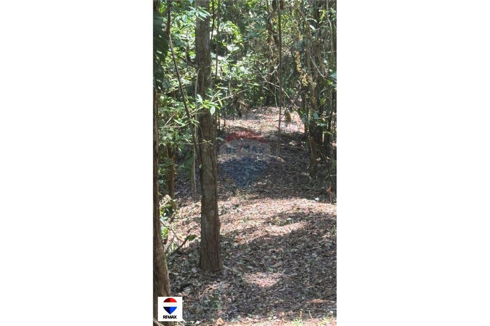 Comercial - Terrenos - Tarcoles - Quebrada Ganado, Puntarenas- Garabito, Costa Rica - Caribbean & Central Ameri - 23 - 90168030-59