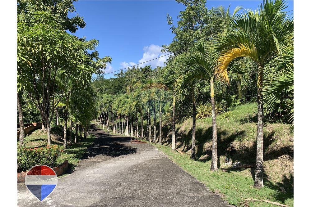 Land - For Sale - Theodorine, Anse-la-Raye, St Lucia - 1 - 902071001-196