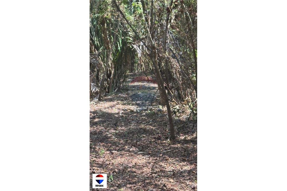 Comercial - Terrenos - Tarcoles - Quebrada Ganado, Puntarenas- Garabito, Costa Rica - Caribbean & Central Ameri - 14 - 90168030-59