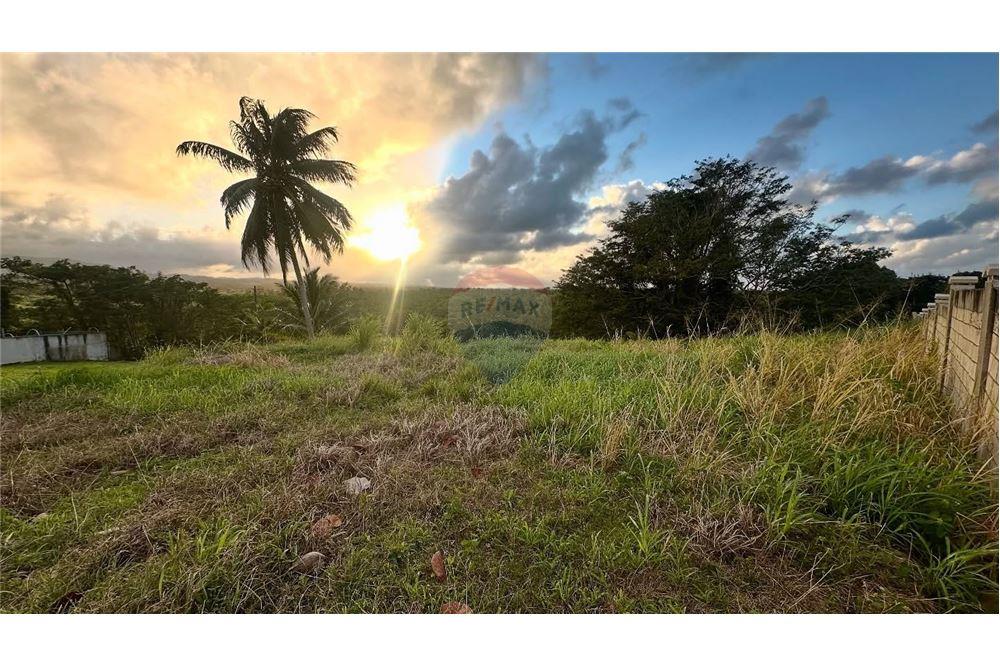 Commercial - Land - Hacienda Las Garzas, Rio Grande, Puerto Rico - Caribbean & Central Ameri - 1 - 902461007-10