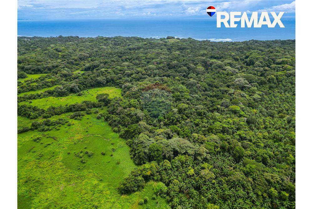 Comercial - Terreno - Parrita - Esterillos, Puntarenas - Parrita, Costa Rica - Caribbean & Central Ameri - 4 - 90168003-465