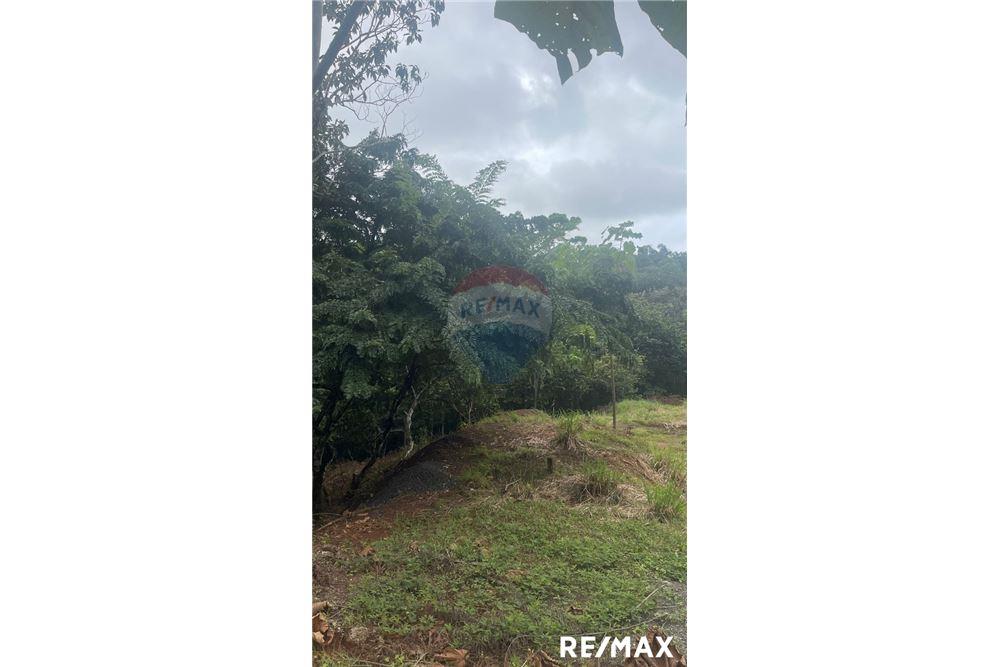 商业 - 土地 - Jaco - Playa Hermosa, Puntarenas- Garabito, 哥斯达黎加 - Caribbean & Central Ameri - 4 - 90168045-18