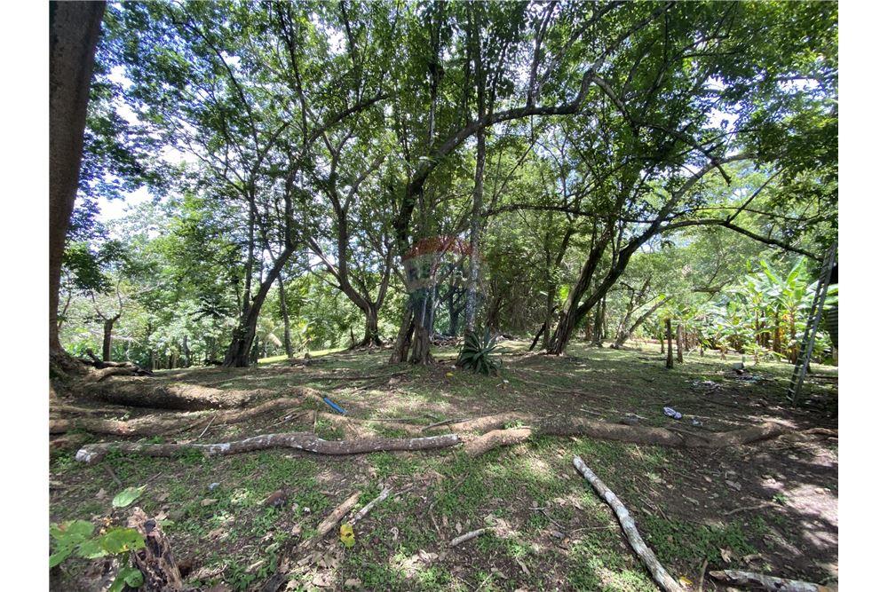 Villa - Te Koop - Manzanillo, Puntarenas - Puntarenas, Costa Rica - 14 - 90110006-43