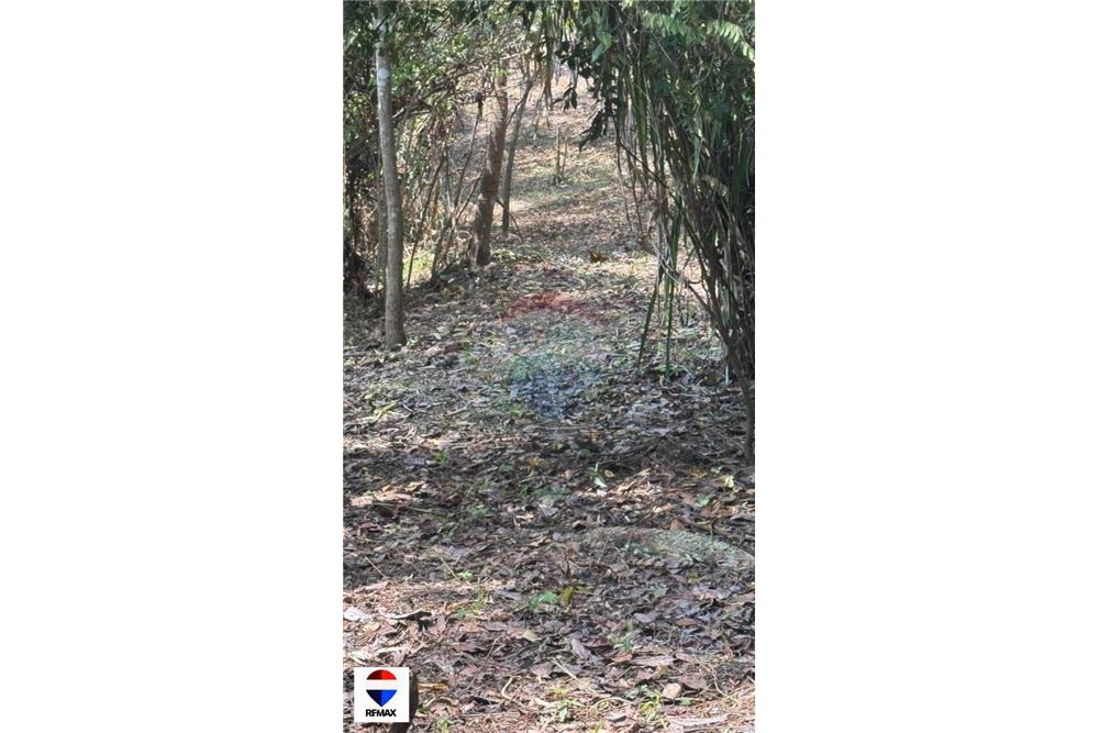 Comercial - Terrenos - Tarcoles - Quebrada Ganado, Puntarenas- Garabito, Costa Rica - Caribbean & Central Ameri - 16 - 90168030-59