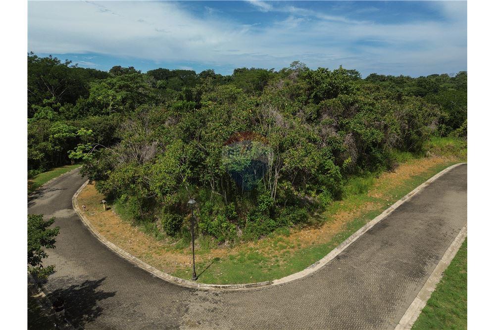 Surface commerciale - Autre terrain - Parrita - Esterillos, Puntarenas - Parrita, Costa Rica - Caribbean & Central Ameri - 15 - 90168039-31