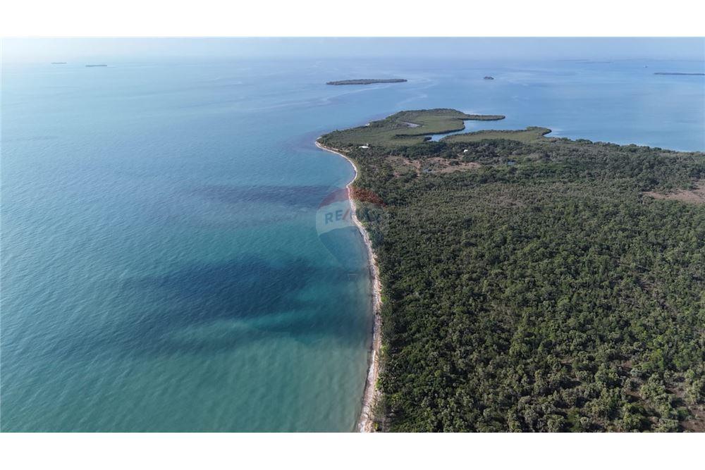 Commercial - Land - Monkey River, Toledo District, Belize - Caribbean & Central Ameri - 3 - 90127016-269