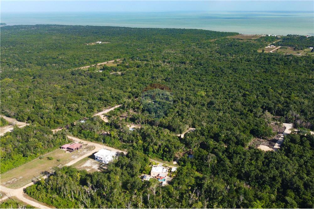 Surface commerciale - Autre terrain - Consejo, Corozal District, Belize - Caribbean & Central Ameri - 2 - 901411007-88