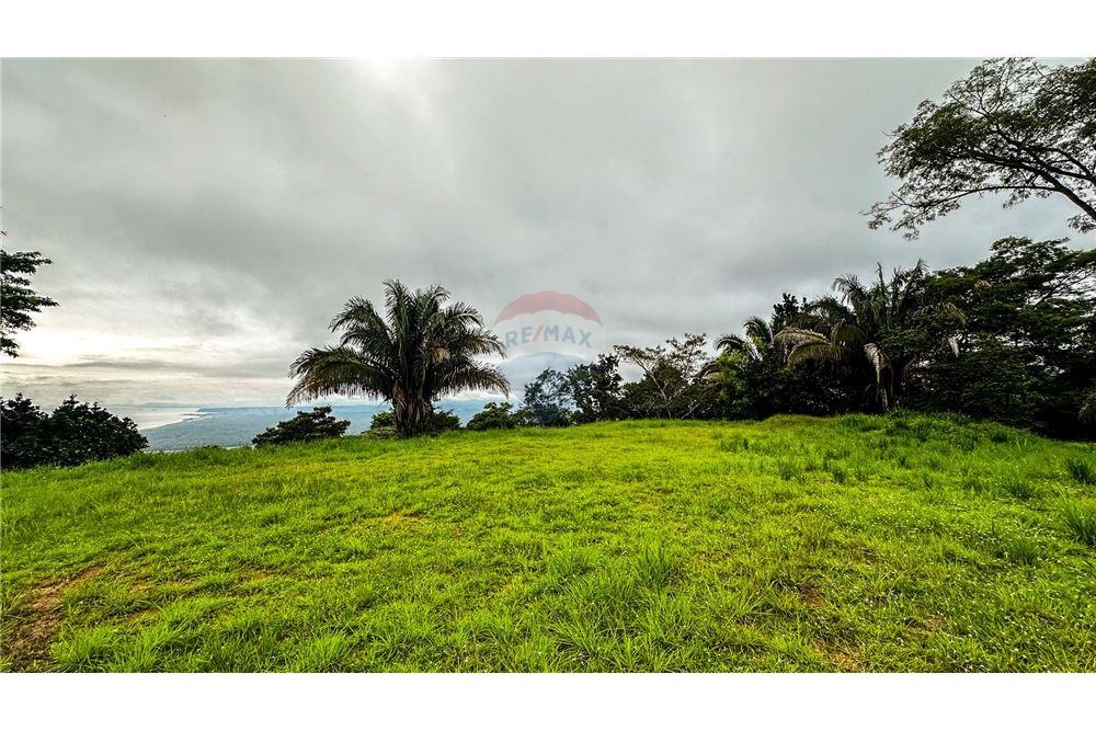 Commercial - Land - Jaco - Jaco, Puntarenas- Garabito, Costa Rica - Caribbean & Central Ameri - 13 - 90168016-216