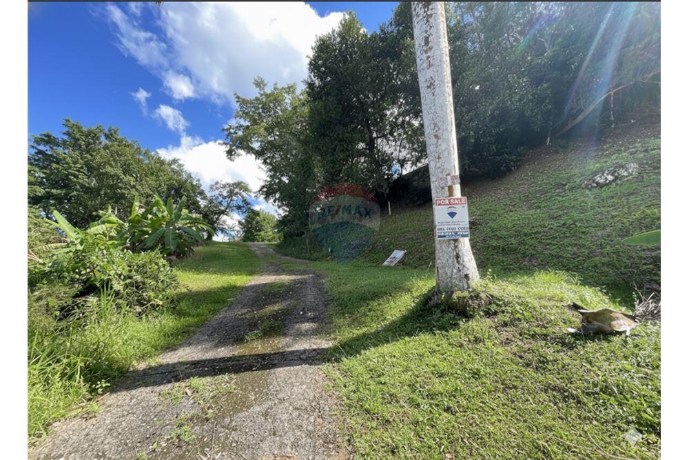 Land - For Sale - Vega Baja, Vega Baja, Puerto Rico - 1 - 90156053-35