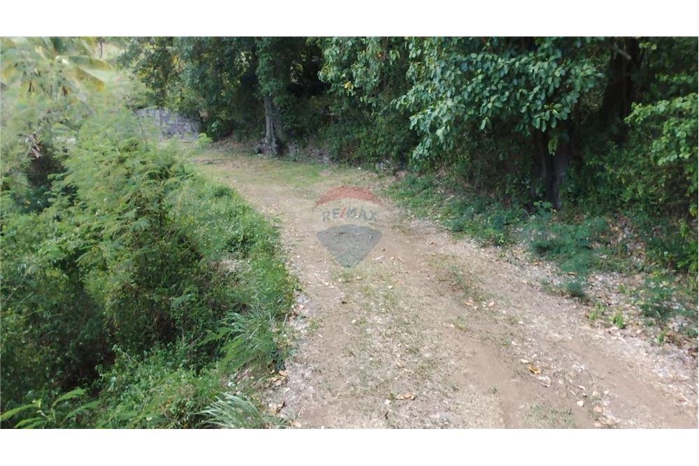 Commercial - Land - Prospect, St Vincent, St Vincent and the Grenadines - Caribbean & Central Ameri - 7 - 90109004-64