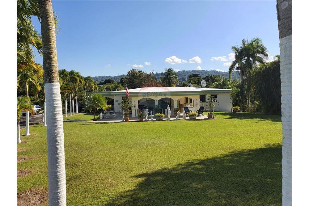 Villa - Venta - Las Piedras, Las Piedras, Puerto Rico - 7 - 90102054-18