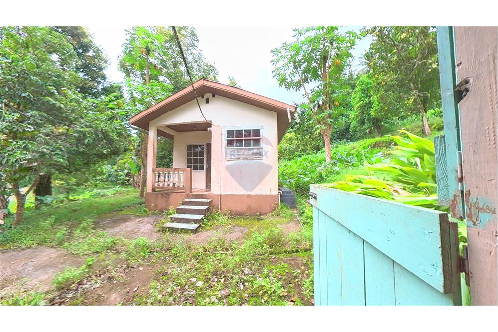 Commercial - Land - Soufrière, Soufrière, St Lucia - Caribbean & Central Ameri - 2 - 902071001-217