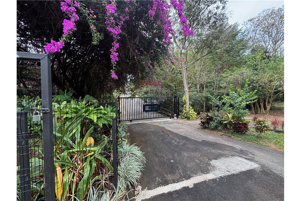 Residenziale - Villa - Atenas, Alajuela- Atenas, Costa Rica - Caribbean & Central Ameri - 14 - 90128002-1006