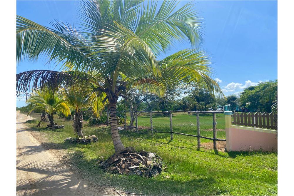 Surface commerciale - Autre terrain - Consejo, Corozal District, Belize - Caribbean & Central Ameri - 5 - 901411007-87