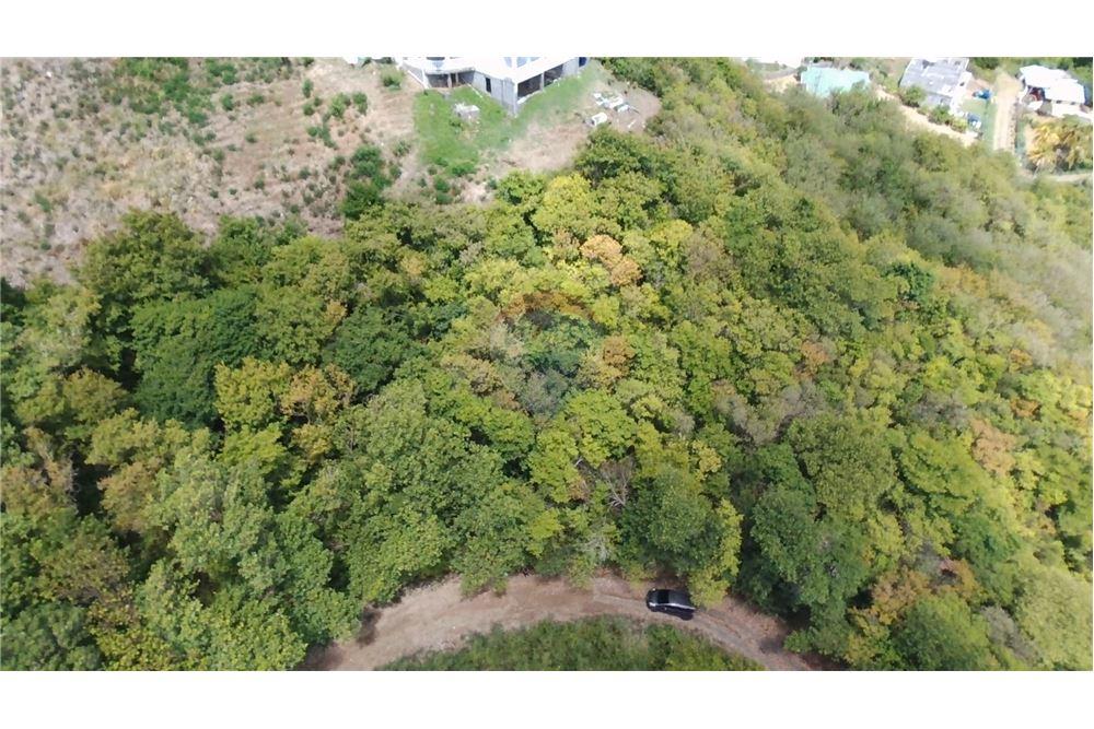Commercial - Land - Prospect, St Vincent, St Vincent and the Grenadines - Caribbean & Central Ameri - 3 - 90109004-64