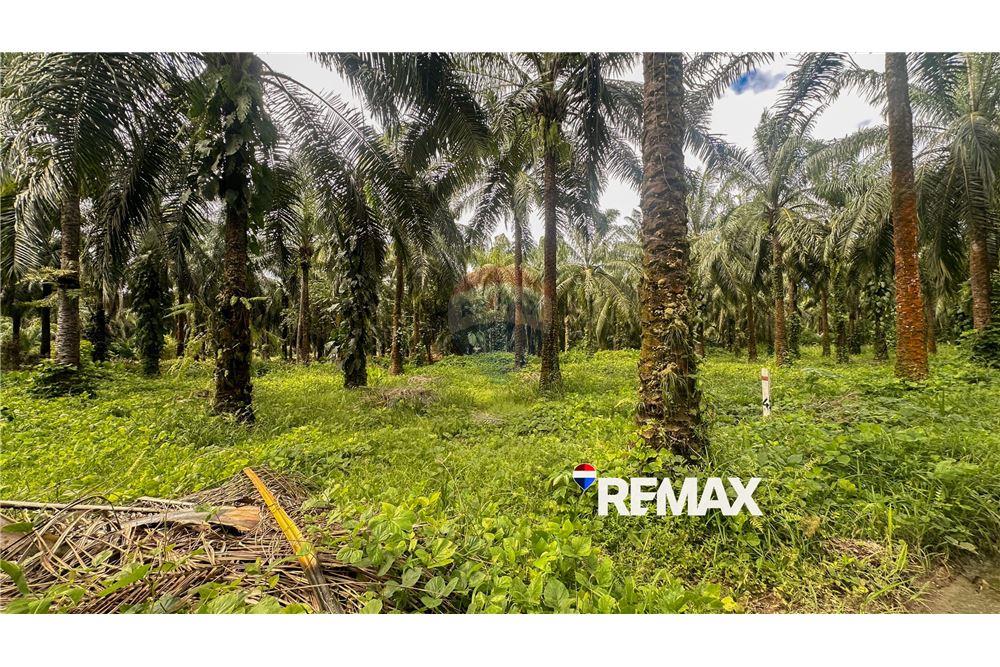 商业 - 土地 - Parrita - Esterillos, Puntarenas - Parrita, 哥斯达黎加 - Caribbean & Central Ameri - 5 - 90168050-29