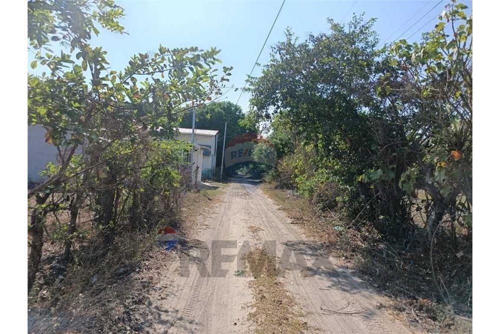 Land - For Sale - San Luis Talpa, La Paz, El Salvador - 11 - 902501005-11