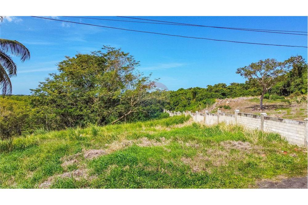 Commercial - Land - Hacienda Las Garzas, Rio Grande, Puerto Rico - Caribbean & Central Ameri - 7 - 902461007-10