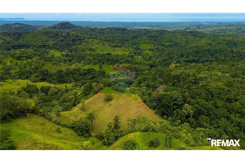 Comercial - Terreno - Parrita, Puntarenas - Parrita, Costa Rica - Caribbean & Central Ameri - 5 - 90168003-467