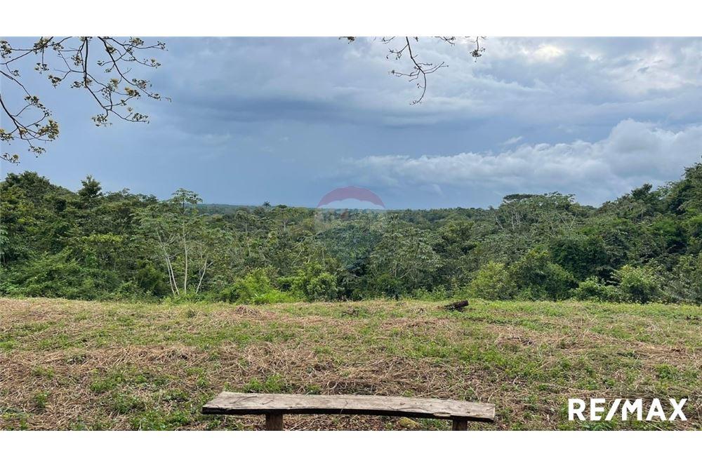 Commercio - Terreno - Puntarenas, Puntarenas - Puntarenas, Costa Rica - Caribbean & Central Ameri - 28 - 90168045-6