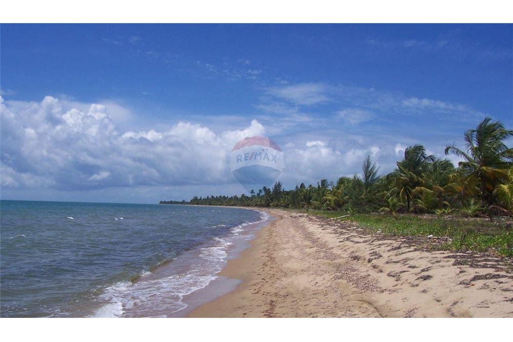 Commercial - Land - Punta Gorda, Toledo District, Belize - Caribbean & Central Ameri - 1 - 90127022-76