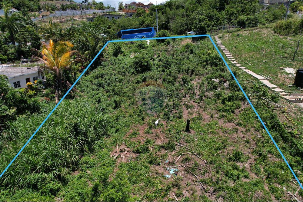 Land - For Sale - Cousins Cove, Hanover Parish, Jamaica - 5 - 902421019-1