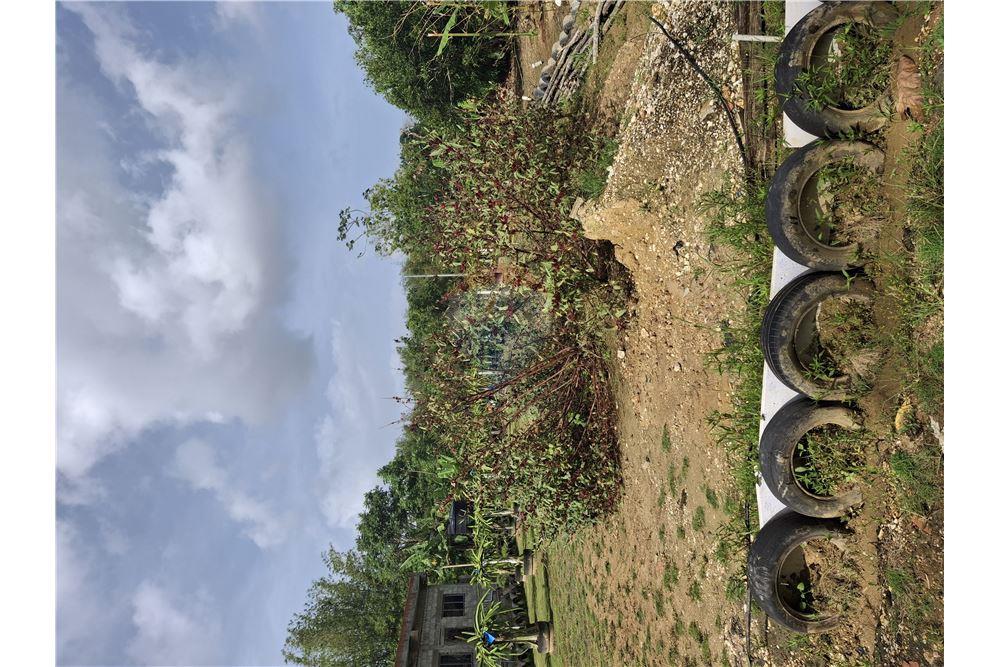 Land - For Sale - Sangre Grande, Saint Andrew, Trinidad and Tobago - 2 - 90155092-94