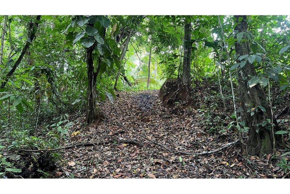 Commercial - Land - Bijagual, Puntarenas, Costa Rica - Caribbean & Central Ameri - 25 - 90168042-14