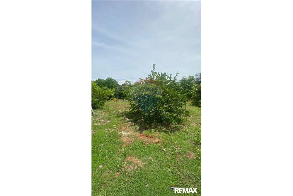 Residential - Multi-Family - Parrita, Puntarenas - Parrita, Costa Rica - Caribbean & Central Ameri - 9 - 90168003-464