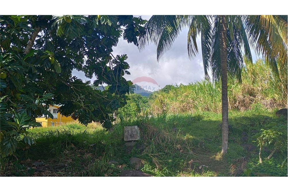 商业 - 土地 - Layou, St Vincent, St Vincent and the Grenadines - Caribbean & Central Ameri - 1 - 90109008-5