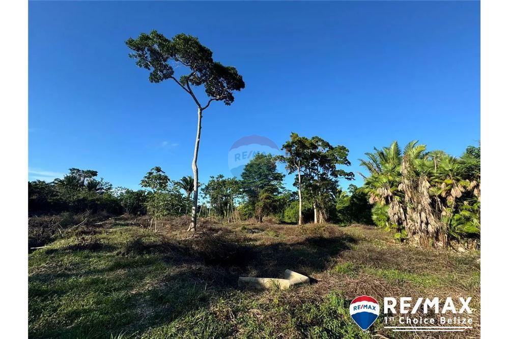 Comercial - Terreno - Hopkins, Stann Creek District, Belice - Caribbean & Central Ameri - 1 - 90127003-307