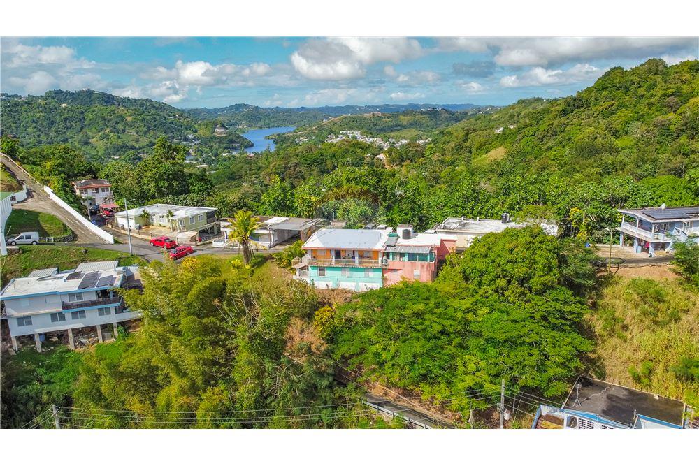 Residential - Villa - Naranjito, Naranjito, Puerto Rico - Caribbean & Central Ameri - 2 - 902461001-93