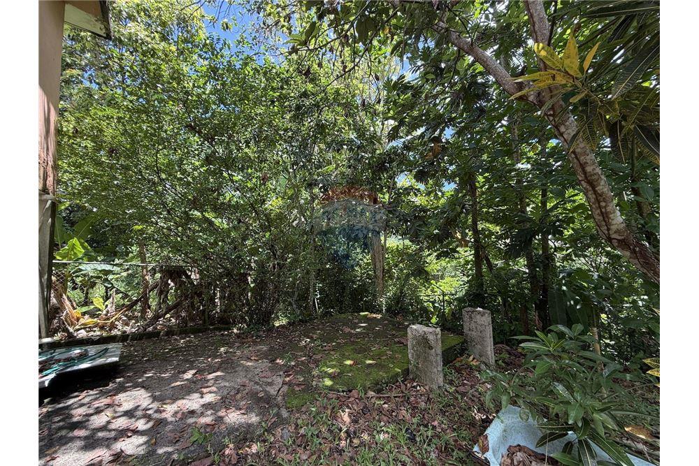 Villa - Te Koop - Ciales, Ciales, Puerto Rico - 15 - 90156038-94