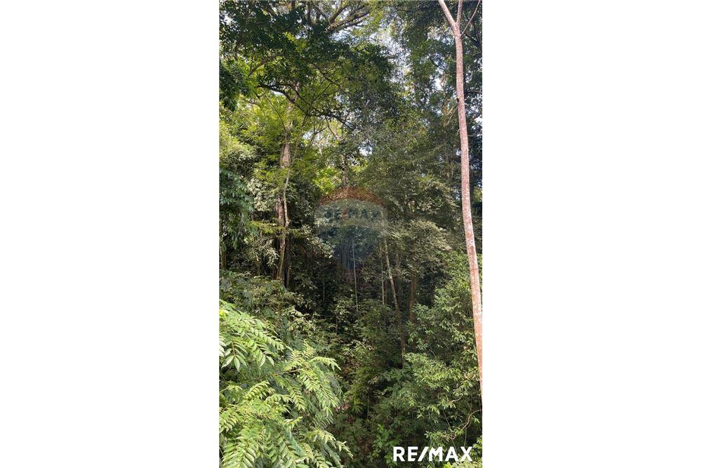 商业 - 土地 - Puntarenas, Puntarenas - Puntarenas, 哥斯达黎加 - Caribbean & Central Ameri - 3 - 90168045-15