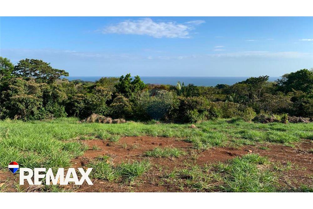 商业 - 土地 - Parrita - Esterillos, Puntarenas - Parrita, 哥斯达黎加 - Caribbean & Central Ameri - 8 - 90168013-172