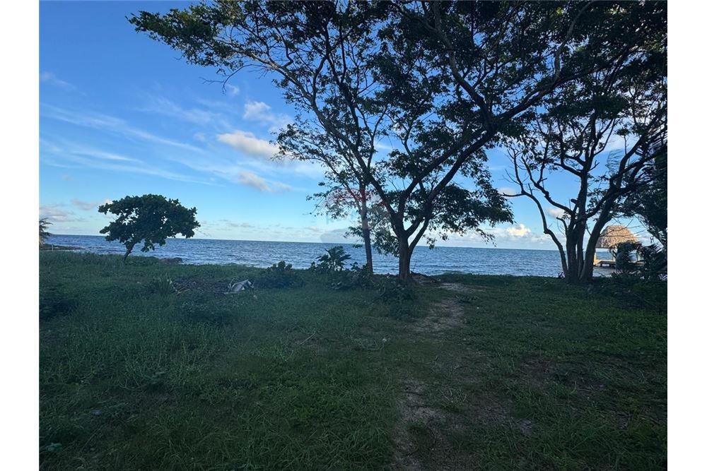 Comercial - Terreno - Placencia, Stann Creek District, Belice - Caribbean & Central Ameri - 10 - 90127003-302