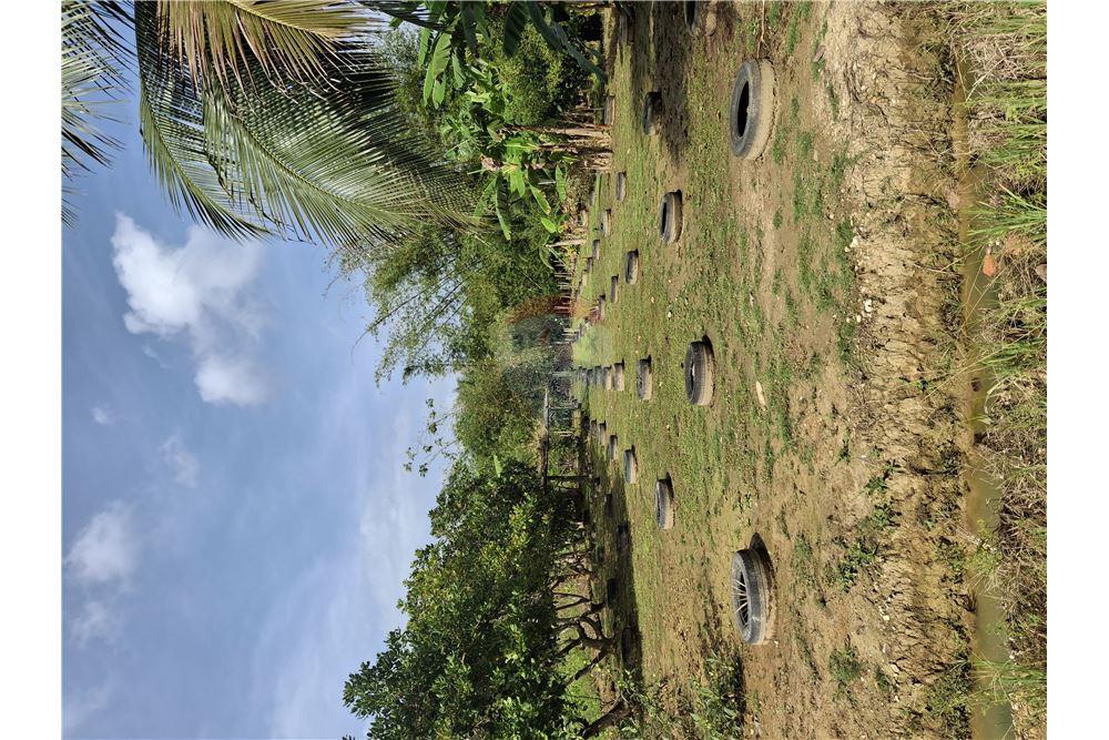 Land - For Sale - Sangre Grande, Saint Andrew, Trinidad and Tobago - 1 - 90155092-94