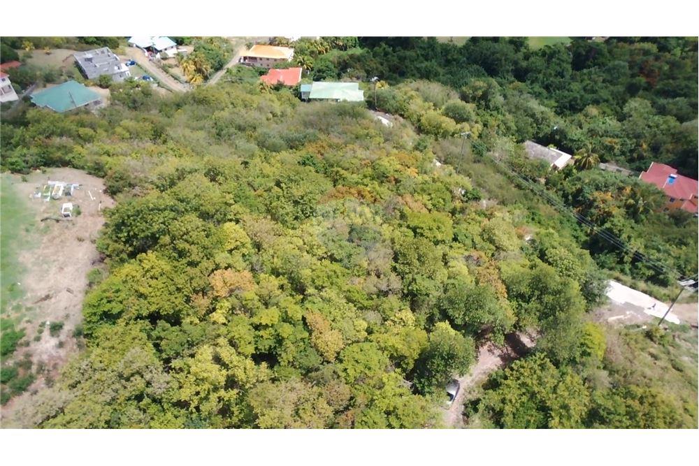 Commercial - Land - Prospect, St Vincent, St Vincent and the Grenadines - Caribbean & Central Ameri - 4 - 90109004-64