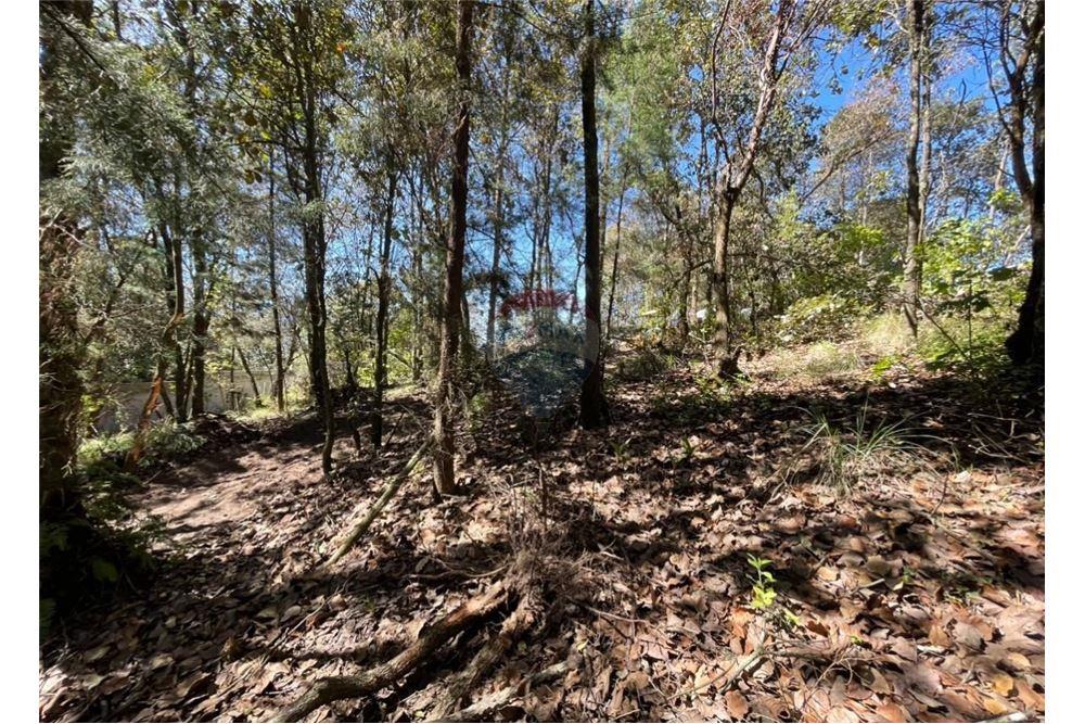 Grondstuk - Te Koop - Quetzaltenango, Quetzaltenango, Guatemala - 6 - 901011001-18