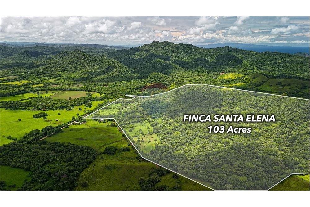 Commercial - Land - San Juan del Sur, Rivas, Nicaragua - Caribbean & Central Ameri - 4 - 90119008-100