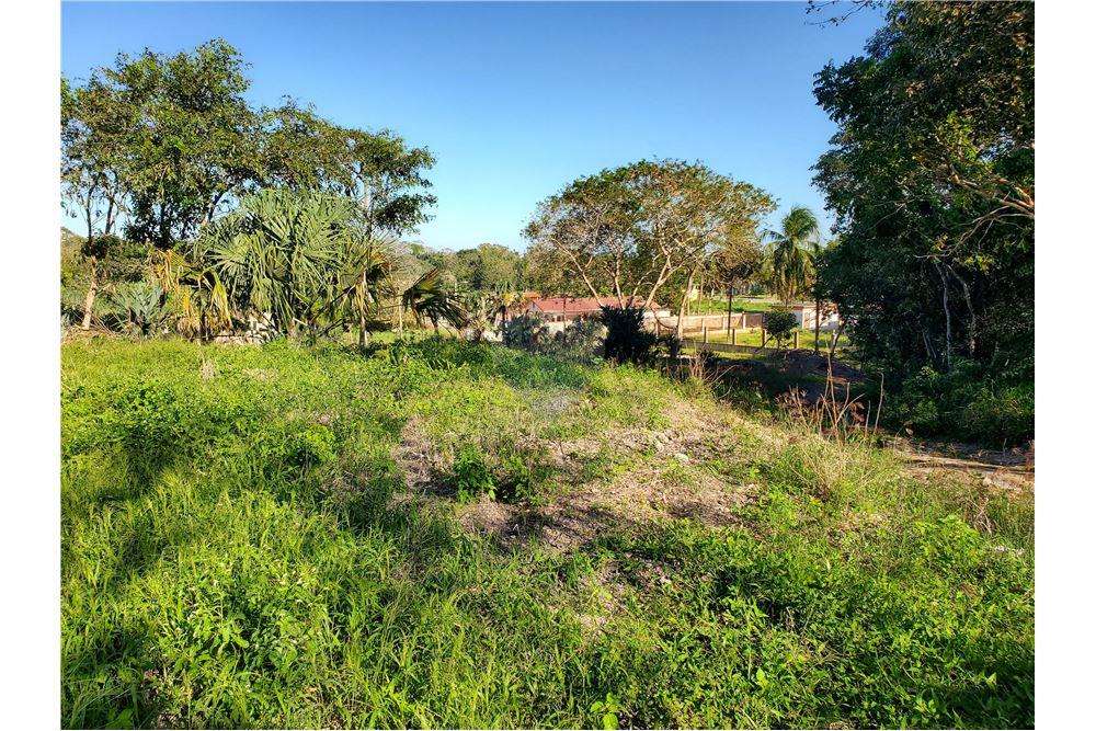 Commercio - Terreno - Ranchito, Corozal District, Belize - Caribbean & Central Ameri - 6 - 901411007-89