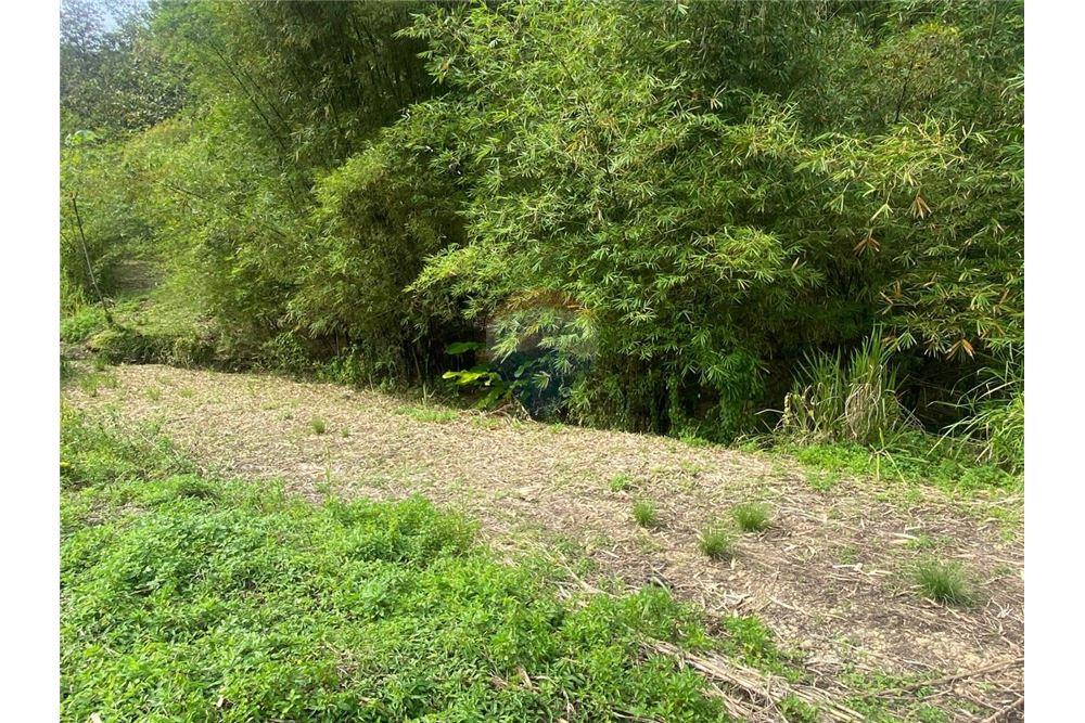 Lote - Venta - Tabaquite, Caroni, Trinidad and Tobago - 1 - 90155109-147