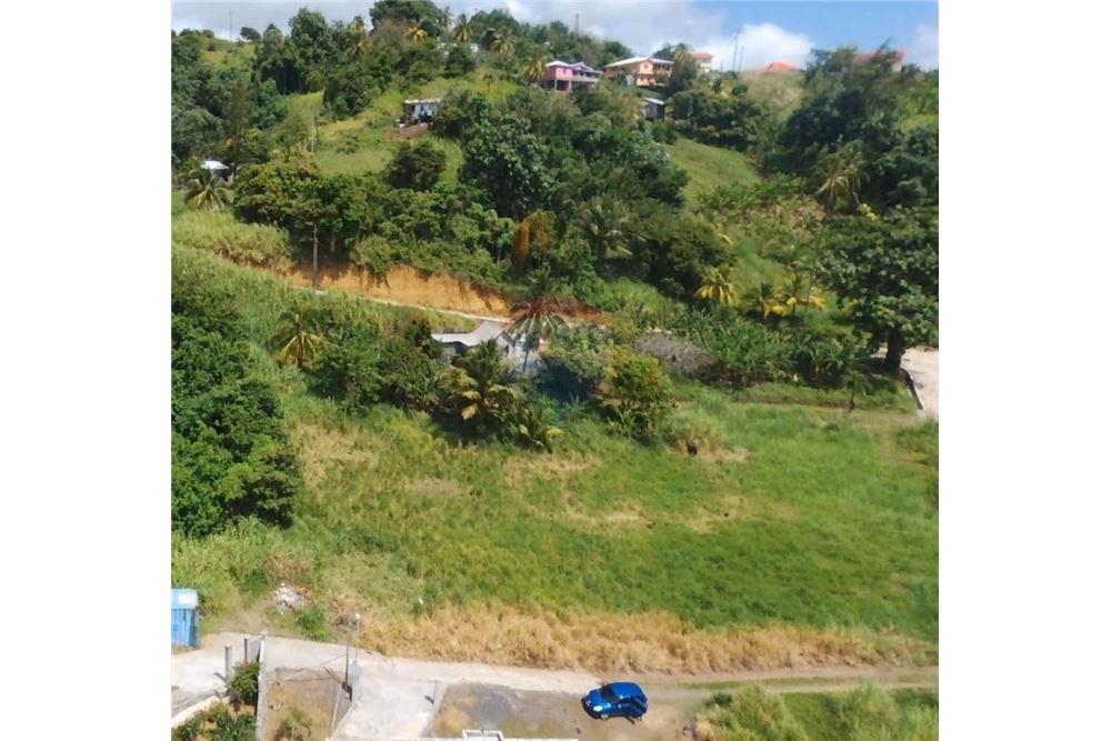 Commercial - Land - Bridgetown, St Vincent, St Vincent and the Grenadines - Caribbean & Central Ameri - 7 - 90109004-53