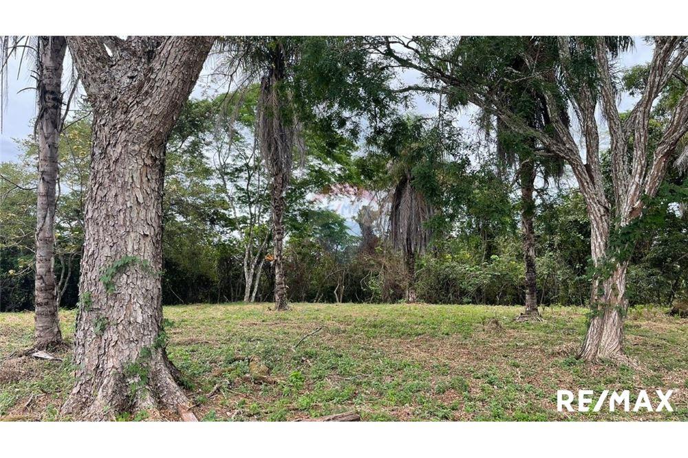 Commercio - Terreno - Puntarenas, Puntarenas - Puntarenas, Costa Rica - Caribbean & Central Ameri - 26 - 90168045-6