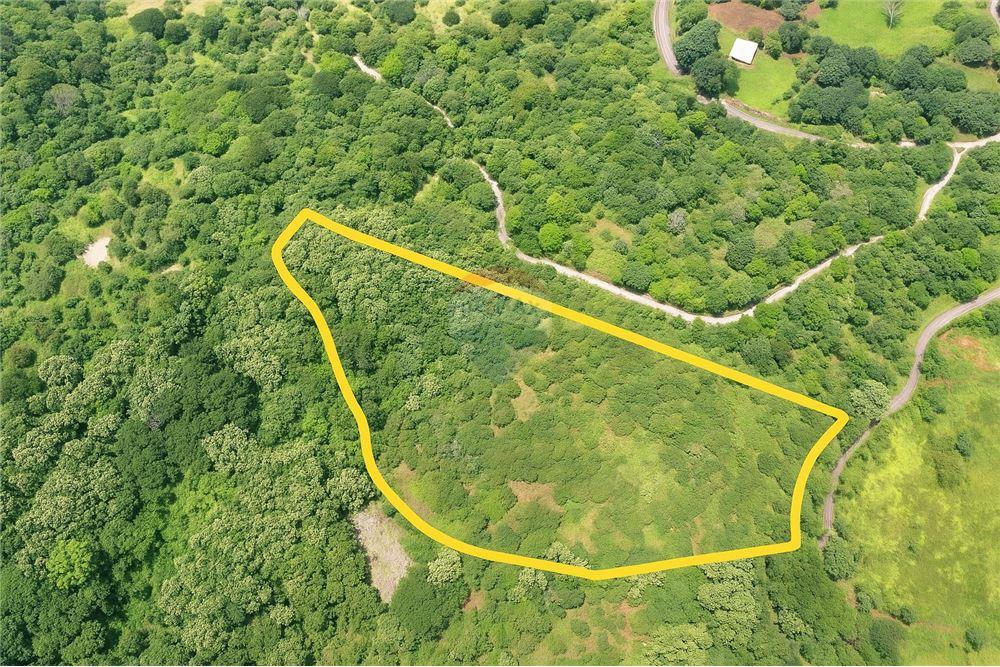 Commercial - Land - Atenas, Alajuela- Atenas, Costa Rica - Caribbean & Central Ameri - 1 - 90128007-183