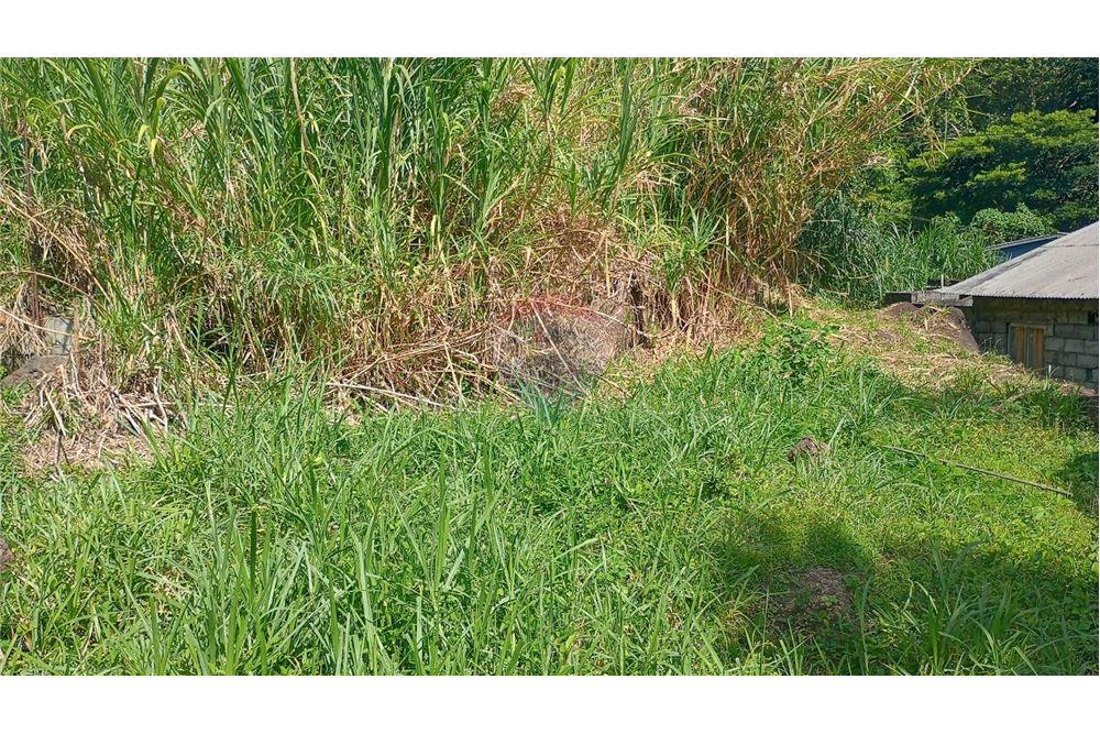 商业 - 土地 - Layou, St Vincent, St Vincent and the Grenadines - Caribbean & Central Ameri - 6 - 90109008-5