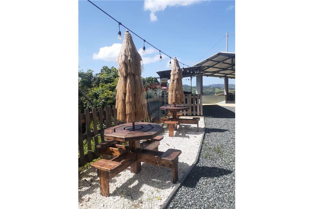 Land - For Sale - Barranquitas, Barranquitas, Puerto Rico - 2 - 90102087-2