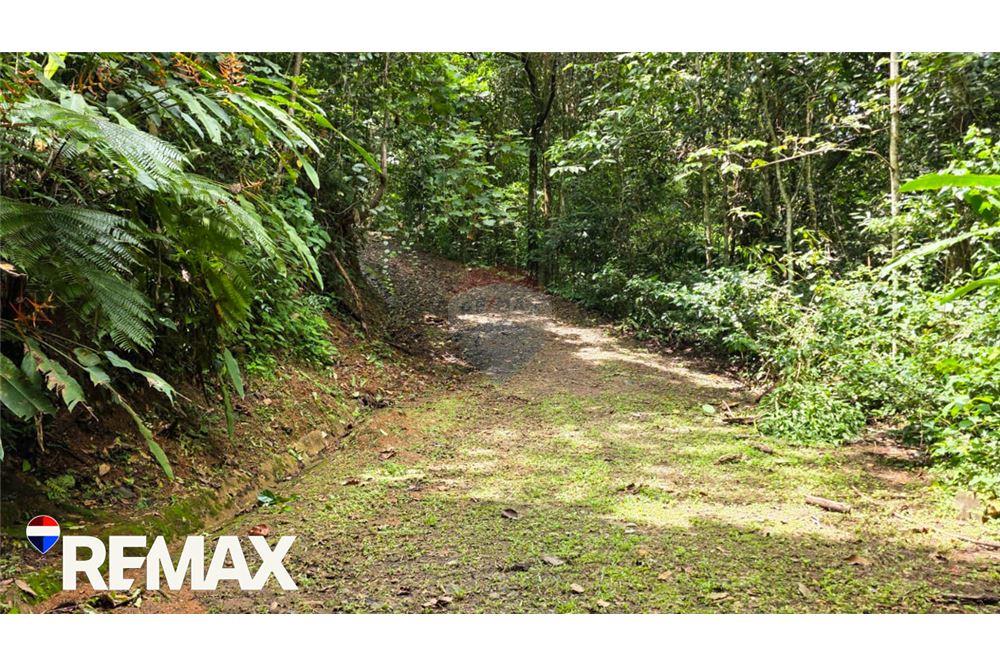 商业 - 土地 - San José, San José, 哥斯达黎加 - Caribbean & Central Ameri - 13 - 90168013-174